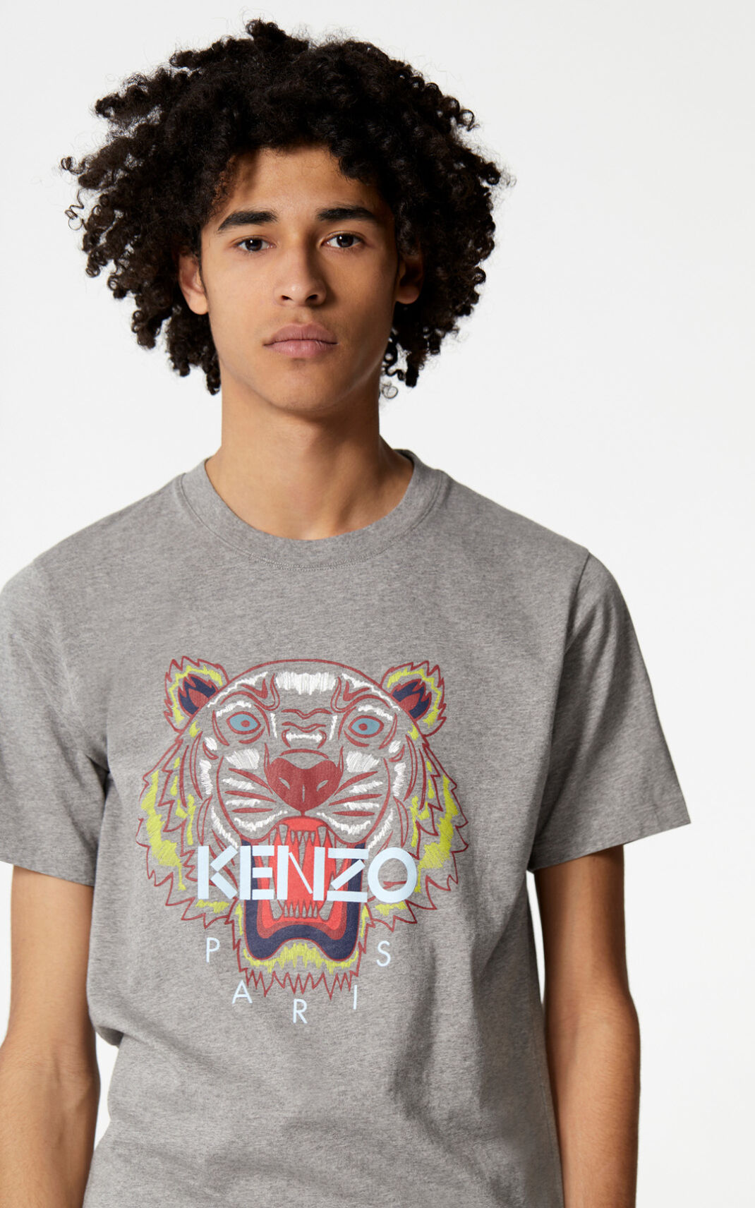 Kenzo Tiger T-shirt Heren Grijs | 36057JEST